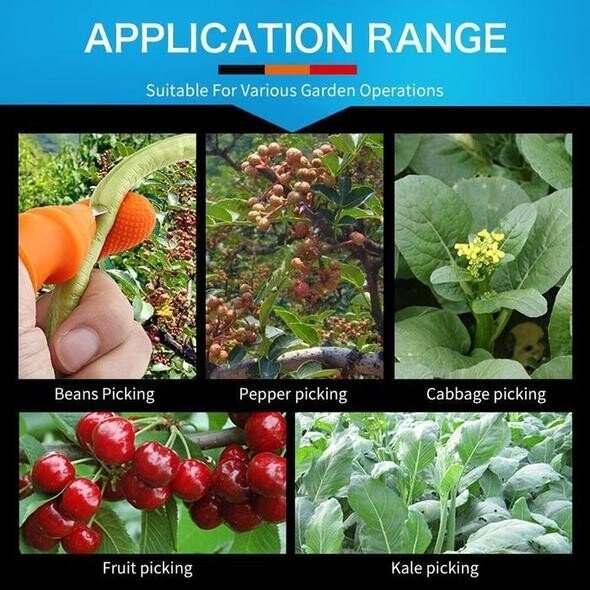 Luvikno | JardinZen | Vekk din hagefred