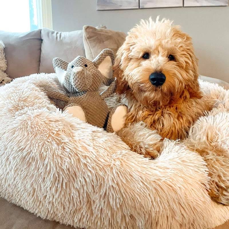 Ortopedisk Plysj Donut Hundeseng Luvikno