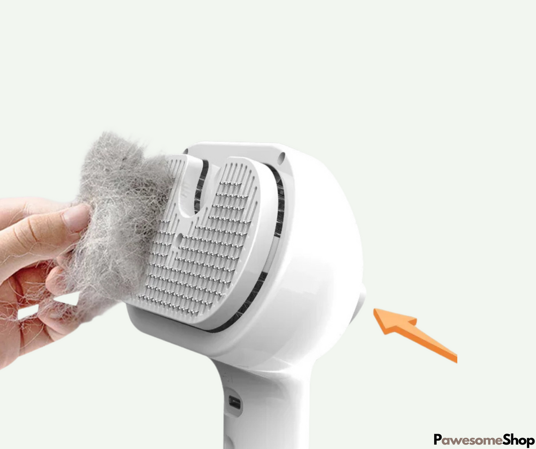 Pet Steam Brush with Steam Cleaning | Luvikno