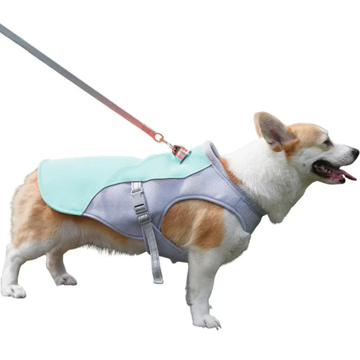 Hund Küling Vest for Utendørs Aktiviteter | Luvikno