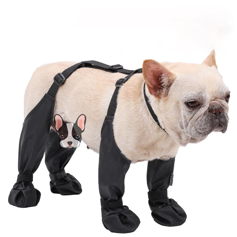 Boots for Safe Outdoor Adventures - PawShield Luvikno
