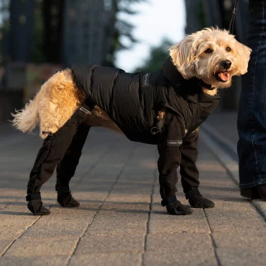Boots for Safe Outdoor Adventures - PawShield Luvikno