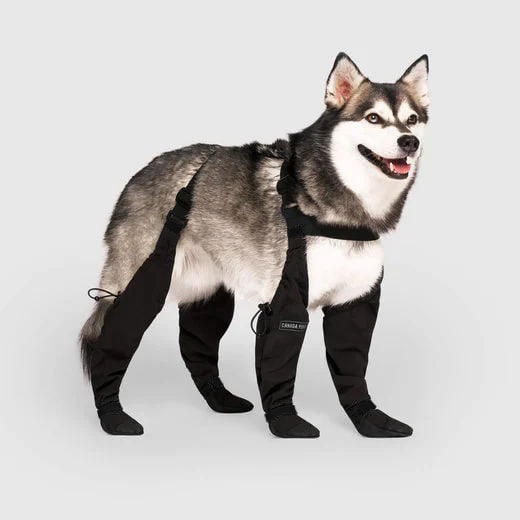 Boots for Safe Outdoor Adventures - PawShield Luvikno
