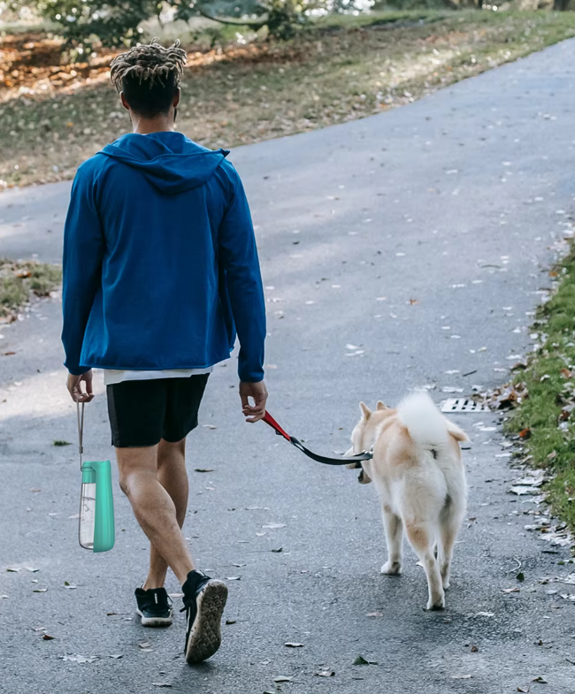 Luvikno | Hund Vannflaske - Reise Lekkasjesikker 550ml