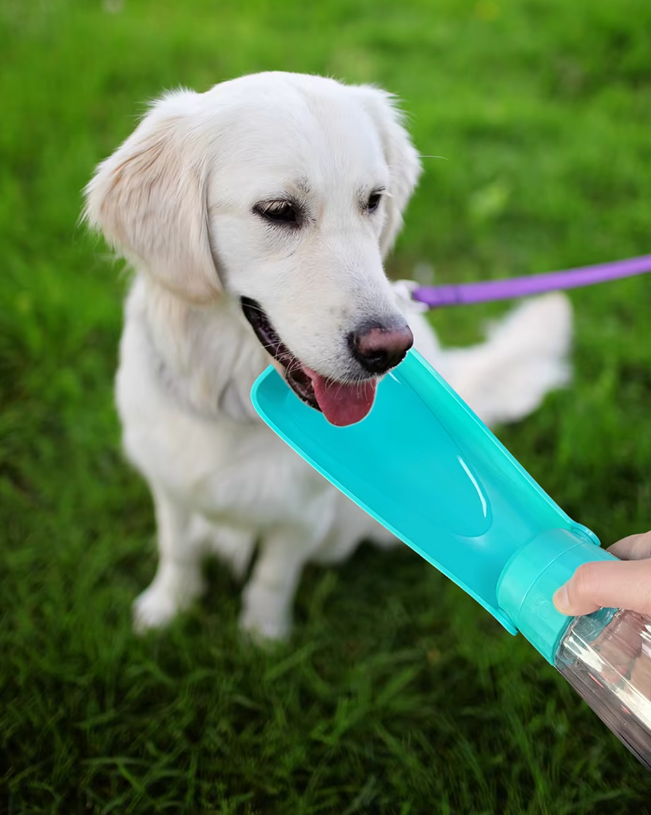 Luvikno | Hund Vannflaske - Reise Lekkasjesikker 550ml