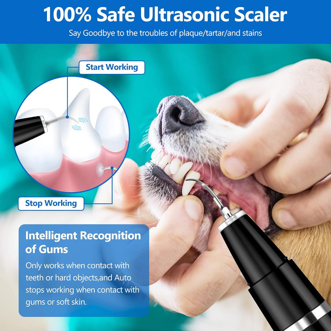 BuddyCare Ultralyd Pet Tannrensingssett Luvikno