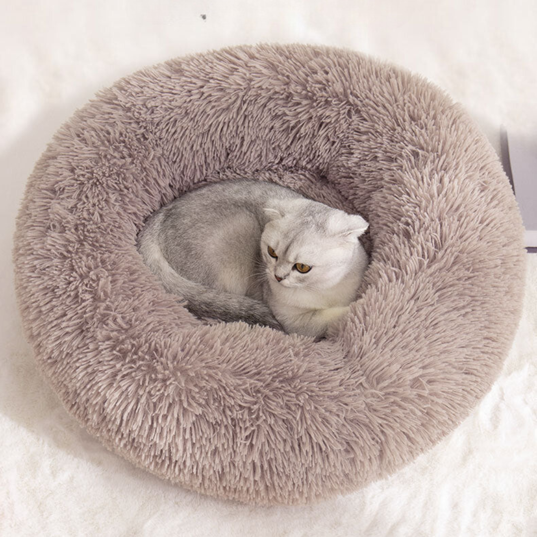 Koselig Sky Katt Seng Luvikno