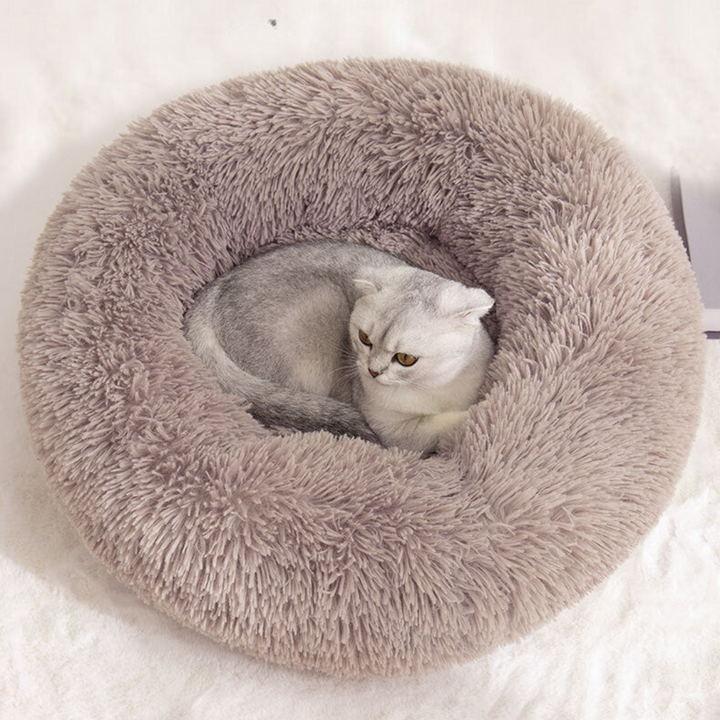 Koselig Sky Katt Seng Luvikno