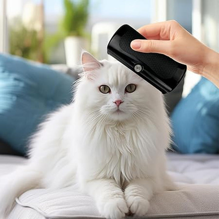 FurMaster – For a clean, shiny, and happy pet Luvikno