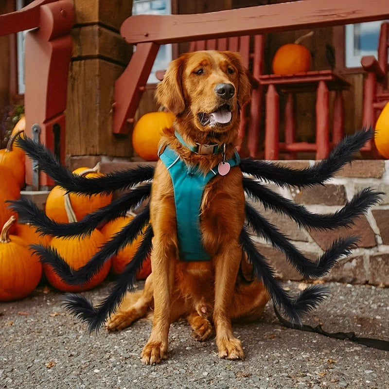 Luvikno | Morsom Pels Hund Halloween Kostyme | Edderkopp Design
