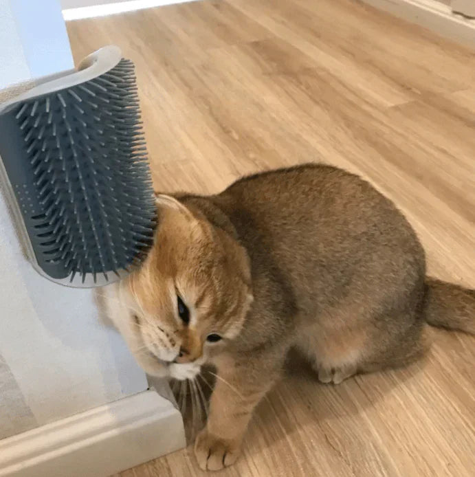Selvpleie Katt Hjørnebørste – FurRelaxer Luvikno