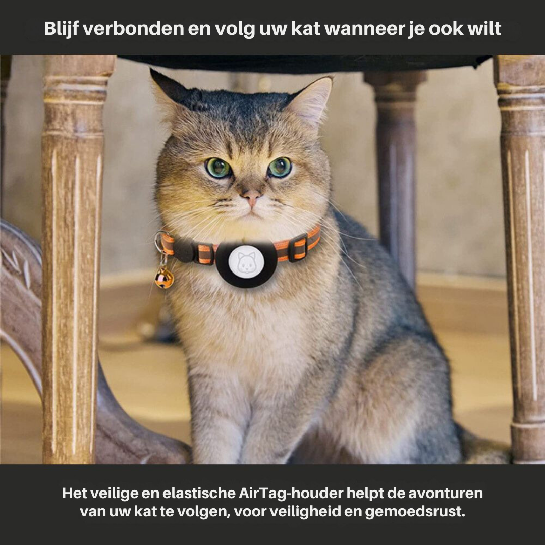 Katt halsbånd med sikkerhetsspenne - Milo Luvikno