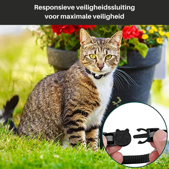 Katt halsbånd med sikkerhetsspenne - Milo Luvikno