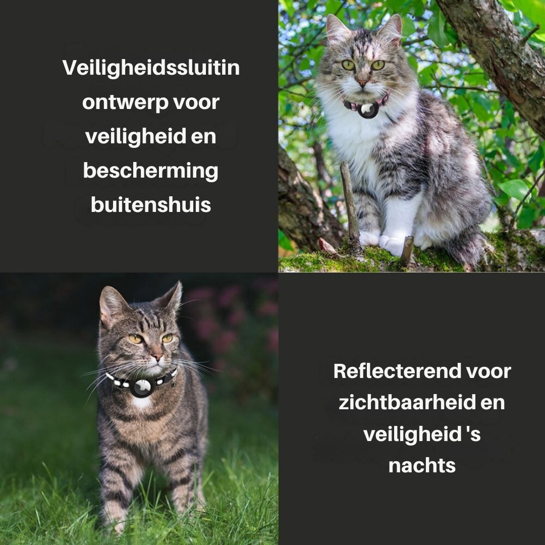 Katt halsbånd med sikkerhetsspenne - Milo Luvikno