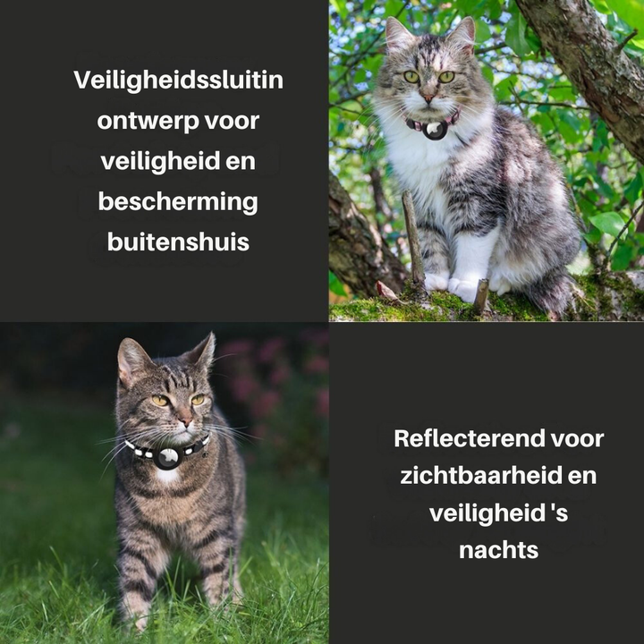 Katt halsbånd med sikkerhetsspenne - Milo Luvikno