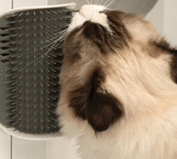 Kattehjørnebørste for selvstell - PurrGroom Luvikno
