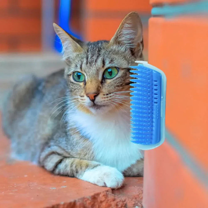 Kattehjørnebørste for selvstell - PurrGroom Luvikno
