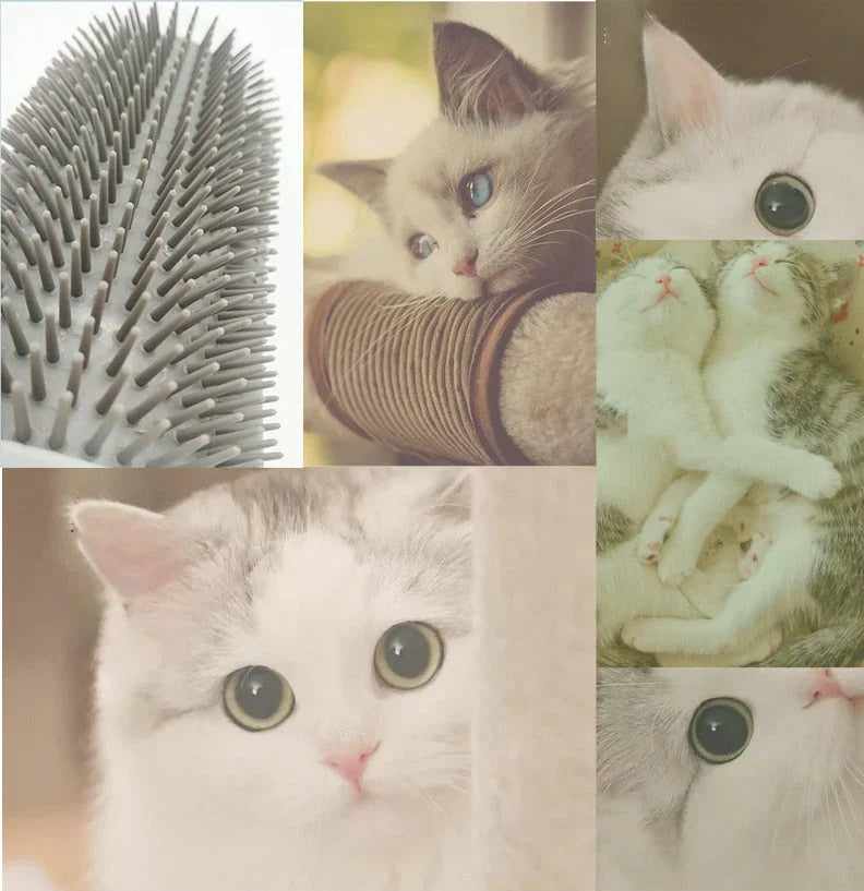 Kattehjørnebørste for selvstell - PurrGroom Luvikno