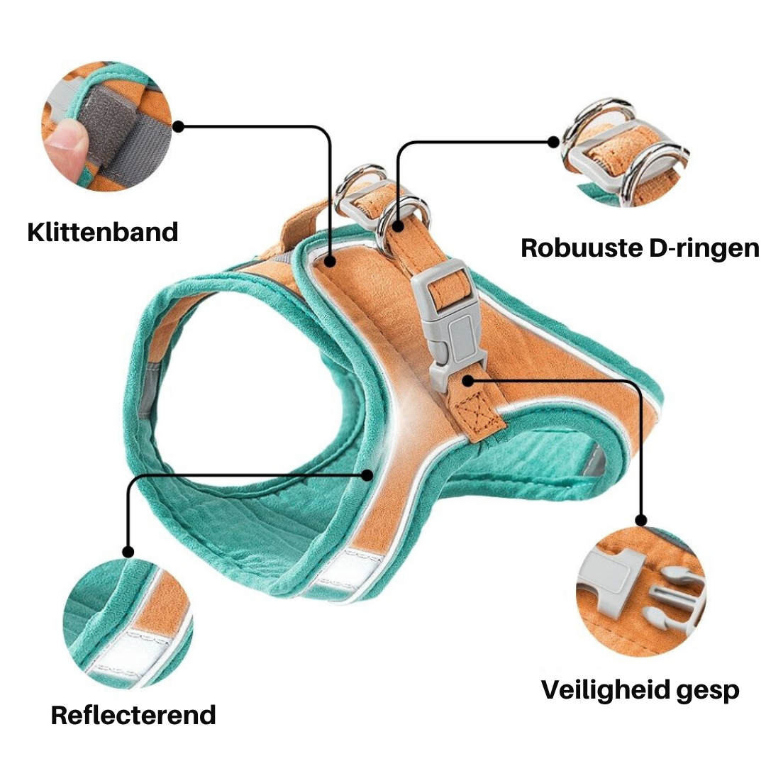 Kattesele - Oscar Luvikno