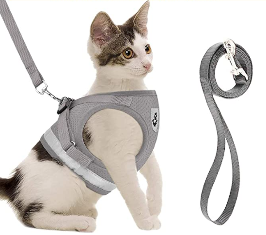 Kattesele med bånd - AdventureKit Luvikno