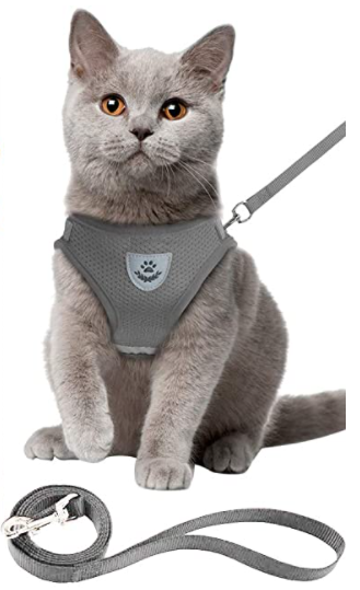 Kattesele med bånd - AdventureKit Luvikno