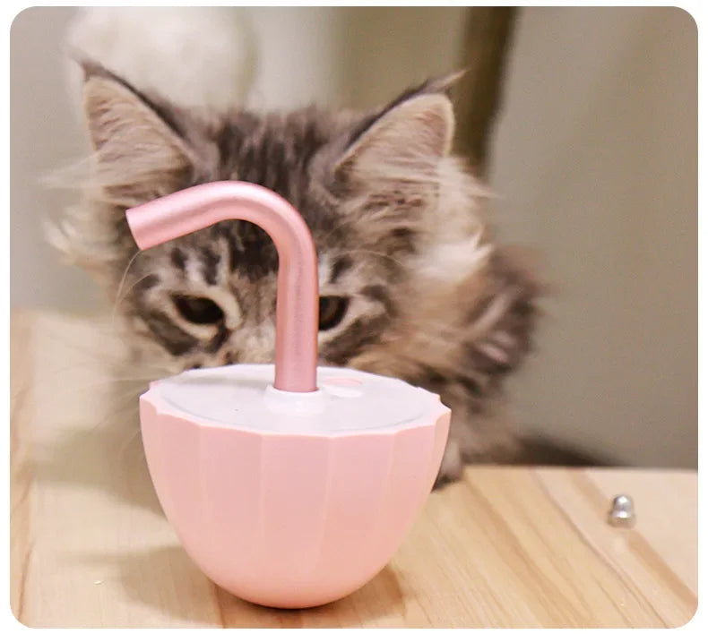 Katt leke med laser - LaserChase Luvikno