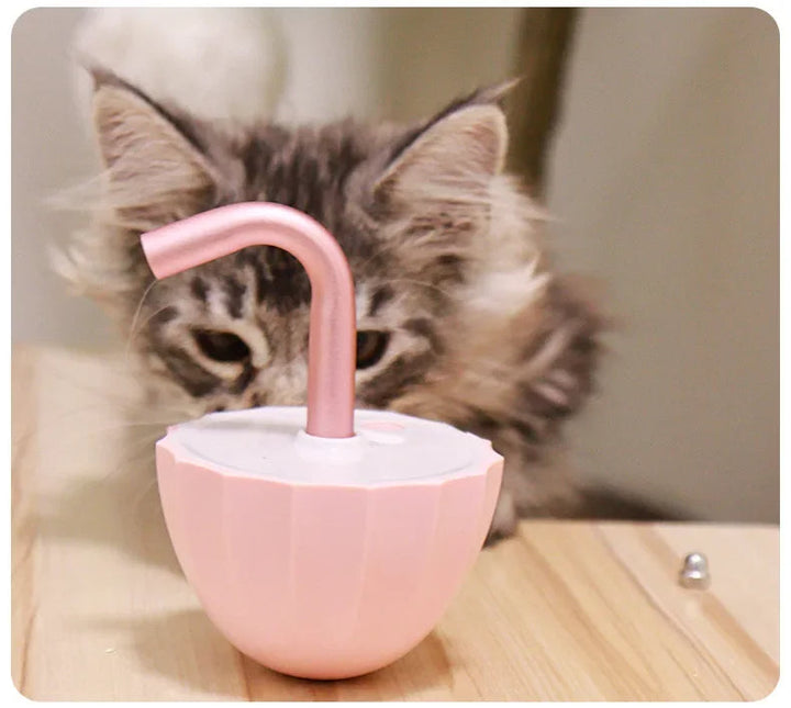 Katt leke med laser - LaserChase Luvikno