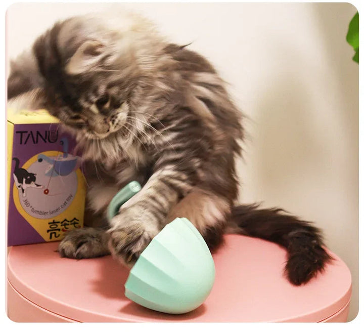 Katt leke med laser - LaserChase Luvikno