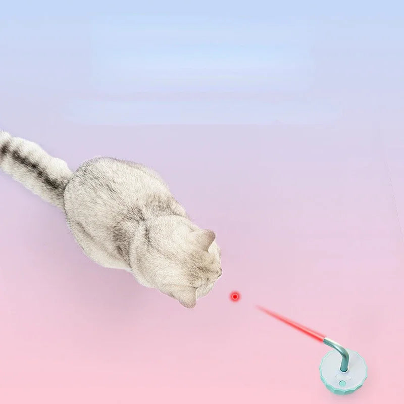Katt leke med laser - LaserChase Luvikno