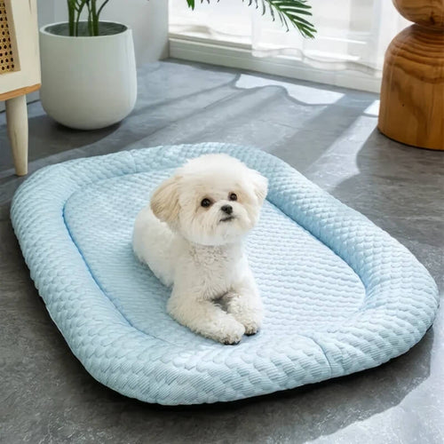 ChillPaws • Kjølende Hundeseng