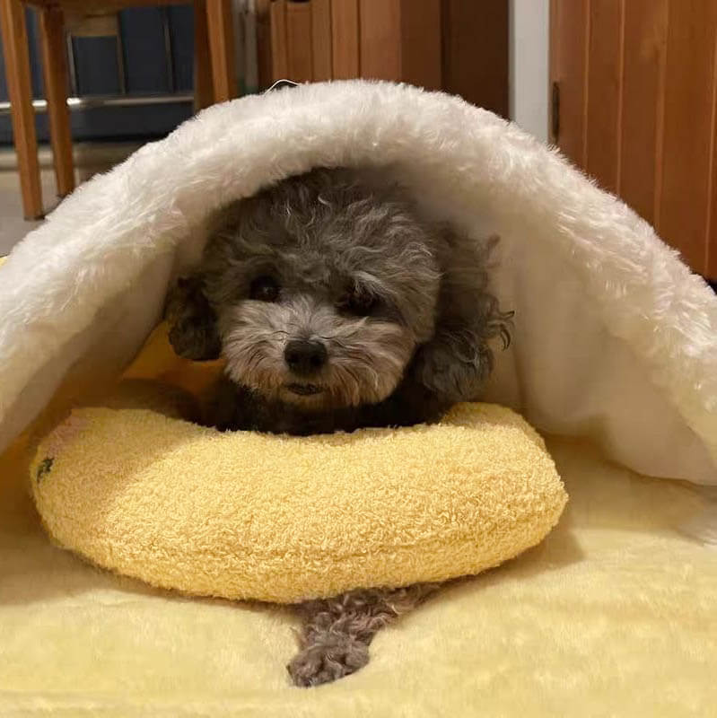 Comfortable Dog Cushion - CalmNest Luvikno