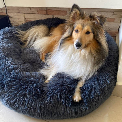 Hundeseng Plush Ortopedisk Beroligende Kjæledyrlaken Luvikno