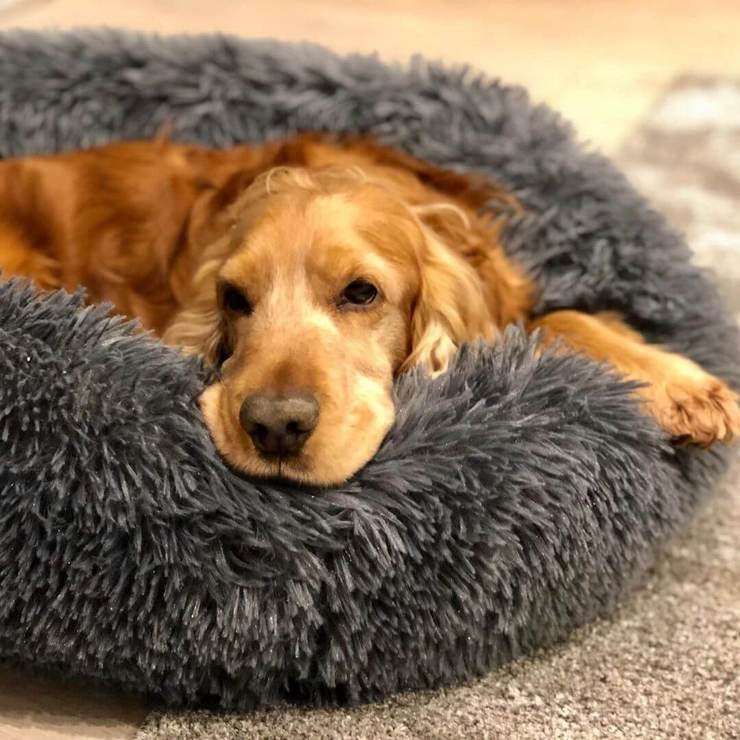 Hundeseng Plush Ortopedisk Beroligende Kjæledyrlaken Luvikno