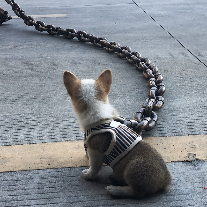 Kult og morsom hundebånd - PawChic Luvikno