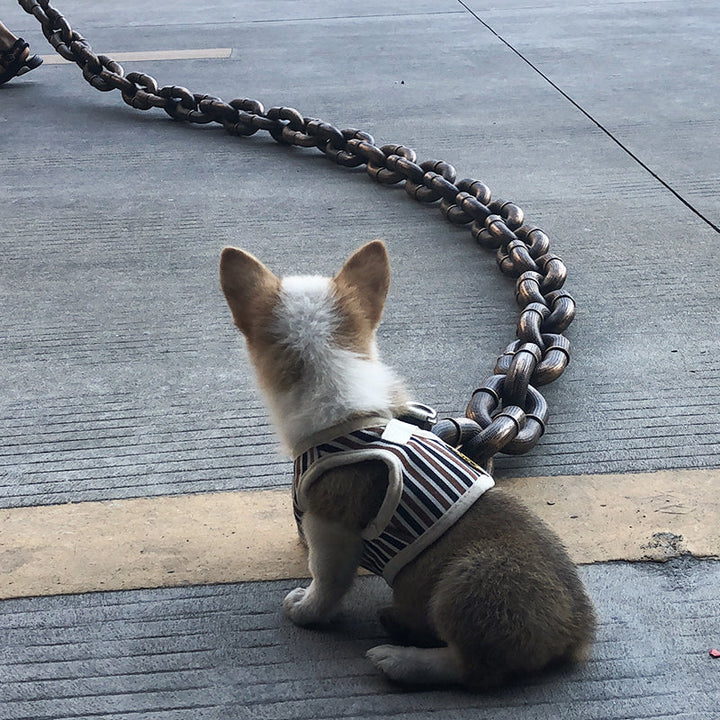 Kult og morsom hundebånd - PawChic Luvikno