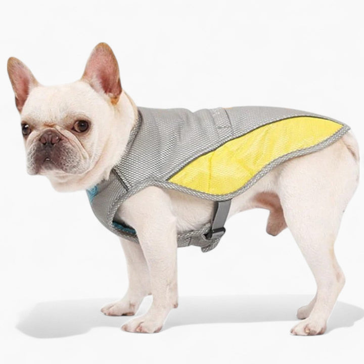 Coolify™ : Kjølevest for Fransk Bulldog (CS13) | Luvikno