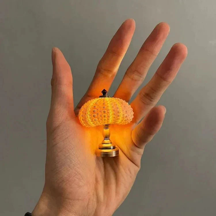Bordlampe Mini Sjøpinnsvin Skall Lys Luvikno