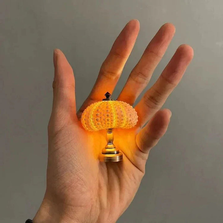 Bordlampe Mini Sjøpinnsvin Skall Lys Luvikno