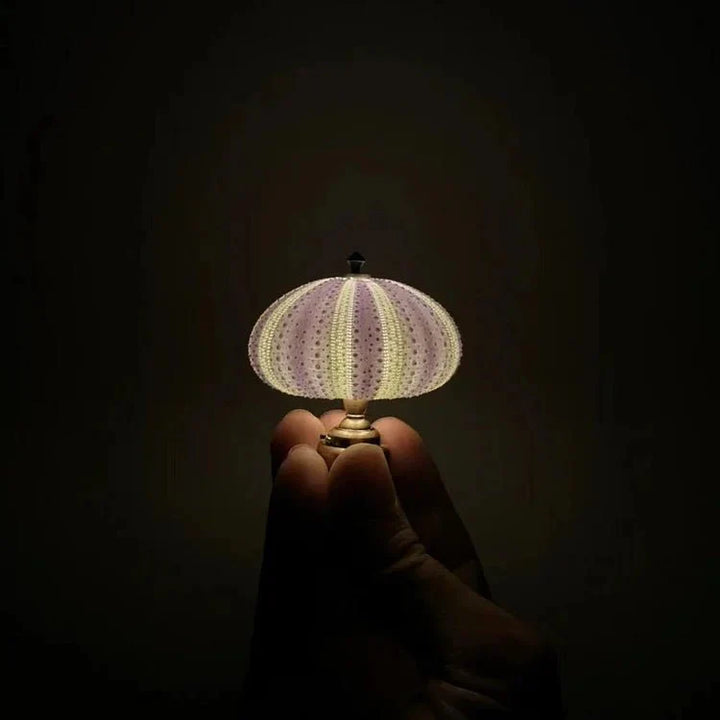 Bordlampe Mini Sjøpinnsvin Skall Lys Luvikno