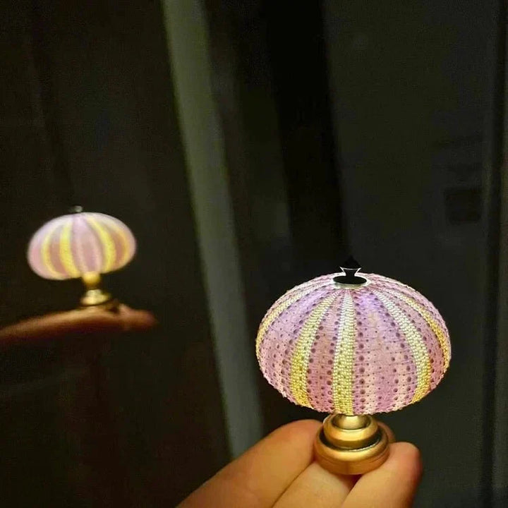 Bordlampe Mini Sjøpinnsvin Skall Lys Luvikno