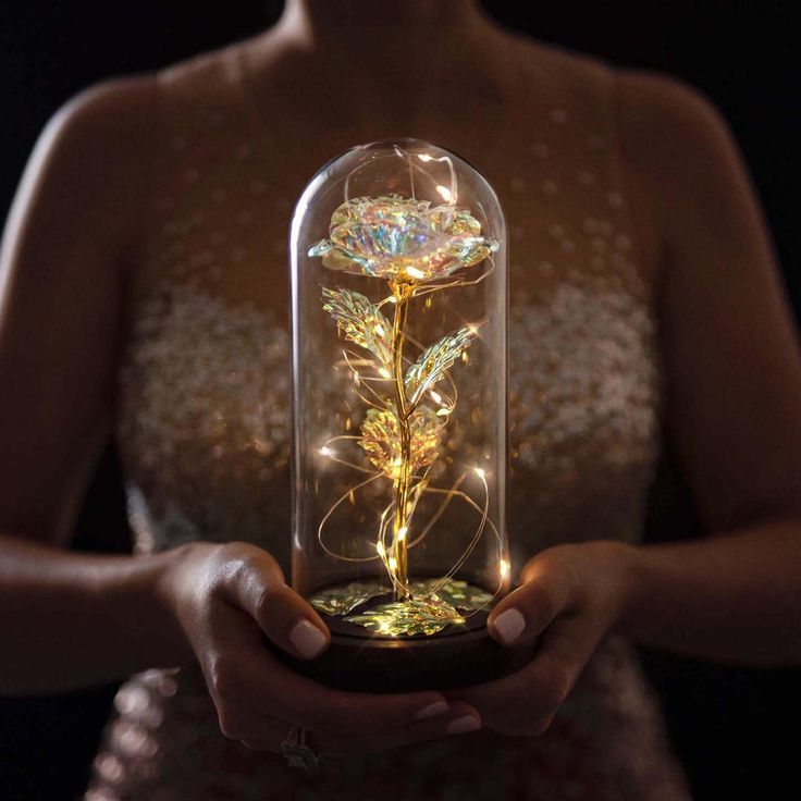 Rose i Glass Dome Display | Luvikno