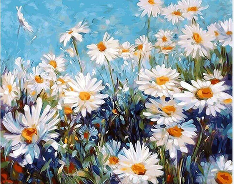 Field of Daisies - Van-Go Mal-For-Nummer Kit | Luvikno