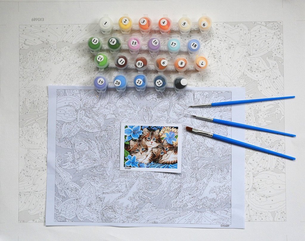 Field of Daisies - Van-Go Mal-For-Nummer Kit | Luvikno