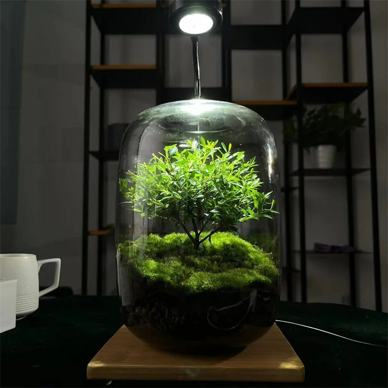 Micro Landscape Green Oasis Glass Vase | Luvikno