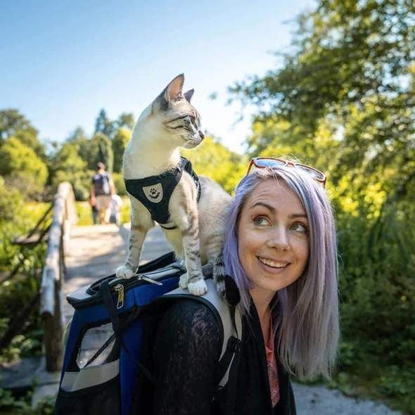 Luvikno | Refleksiv Kattesele og Båndsett med Justerbare Stropper for Trygge Natteventyr – Komfortabel Passform for Katter og Kattunger