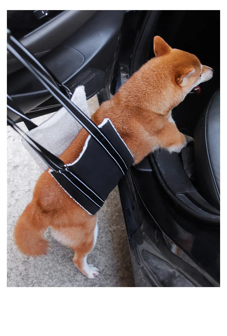 Hundestøtte sele - Justerbart rehabiliteringsbelte Luvikno