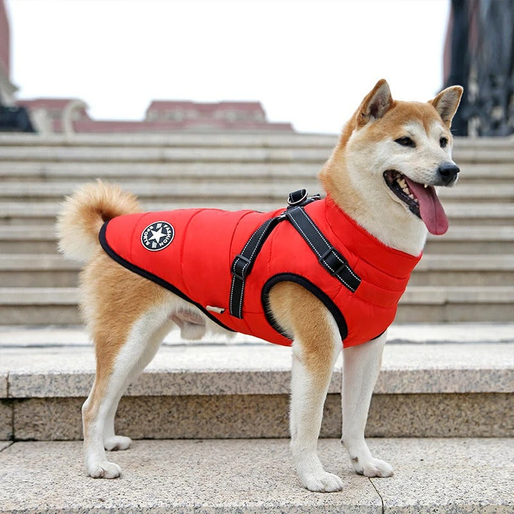 All-Wheather Hund Jakke Luvikno