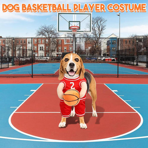 Luvikno | PawChic Luxe Hund Basketball Sett | Stilfullt antrekk med matchende ball for aktive valper