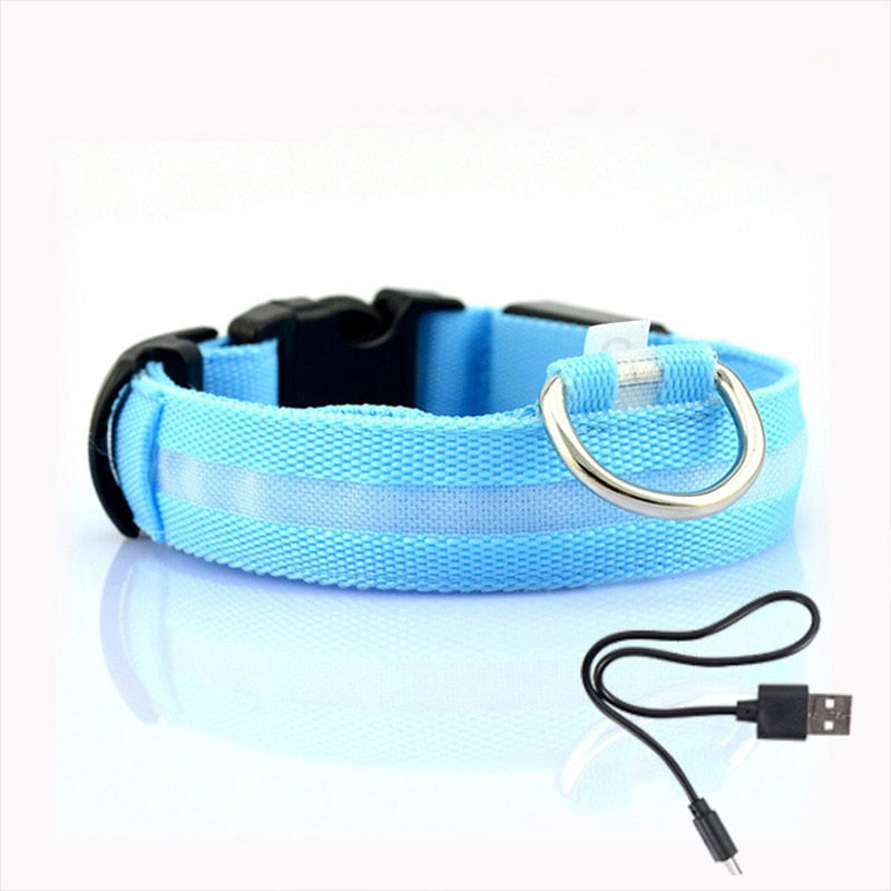 Hundehalsbånd med LED-belysning - GlowCollar Luvikno