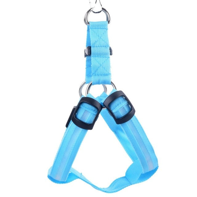Hundesele med LED - Glow&Go Luvikno